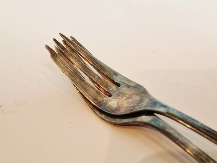 20260318_144114.jpg