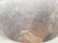20260318_074809.jpg
