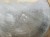 20260318_070921.jpg