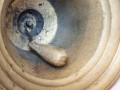 20260413_075144.jpg