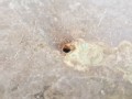 20260413_120829.jpg