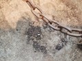 20260413_120832.jpg