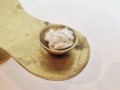 20260413_075543.jpg