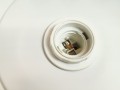 20260413_073412.jpg