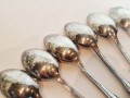 20260413_163958.jpg