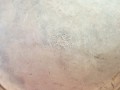 20260318_111644.jpg