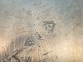 20260318_115102.jpg