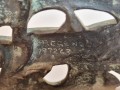 20260413_075950.jpg