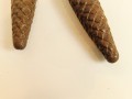 20260413_174519.jpg