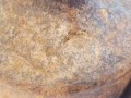 20260309_165247.jpg