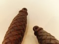 20260413_174020.jpg