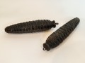 20260302_061903.jpg