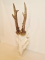 20260508_063048.jpg
