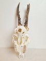 20260508_063058.jpg