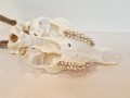 20260508_063131.jpg