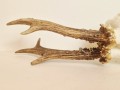 20260508_063148.jpg
