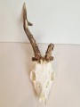 20260508_064303.jpg