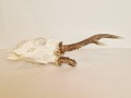 20260508_064404.jpg
