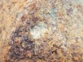 20260413_180855.jpg