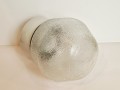 20260413_072910.jpg