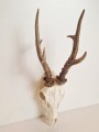 20260508_063854.jpg