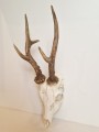 20260508_063859.jpg