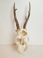 20260508_063909.jpg