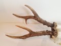 20260508_063922.jpg