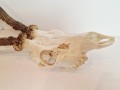 20260508_063926.jpg