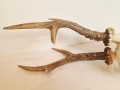 20260508_063934.jpg