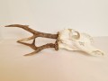 20260508_063948.jpg