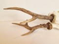 20260508_063951.jpg