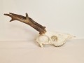 20260508_064046.jpg