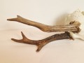 20260508_064120.jpg