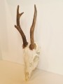 20260508_064151.jpg