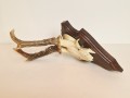 20260508_065123.jpg