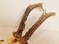 20260508_065128.jpg