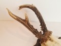 20260508_065143.jpg