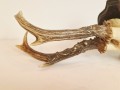 20260508_065204.jpg