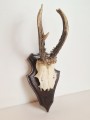 20260508_065224.jpg