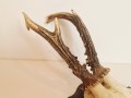 20260508_065241.jpg