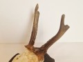 20260508_065023.jpg