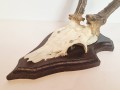 20260508_065026.jpg