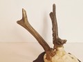 20260508_065039.jpg