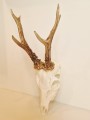 20260508_063458.jpg