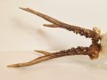 20260508_063537.jpg