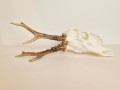 20260508_063552.jpg
