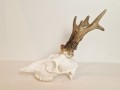 20260508_063311.jpg