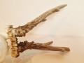 20260508_063328.jpg