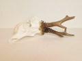 20260508_063340.jpg